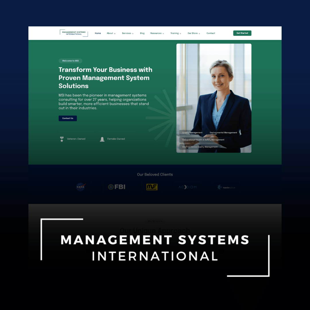 Management Systems International project