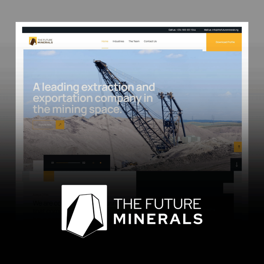 The Future Minerals project